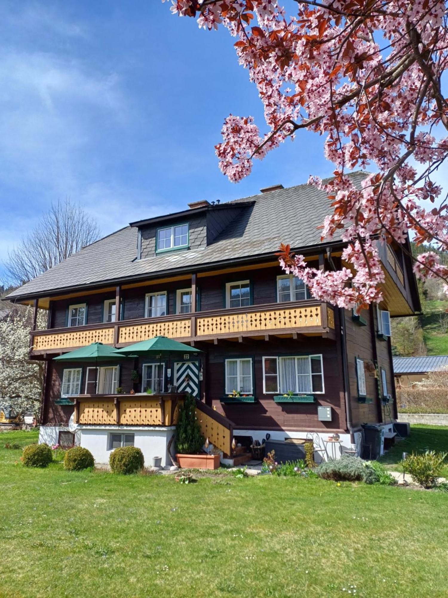 Appartement Steiner Schladming Esterno foto